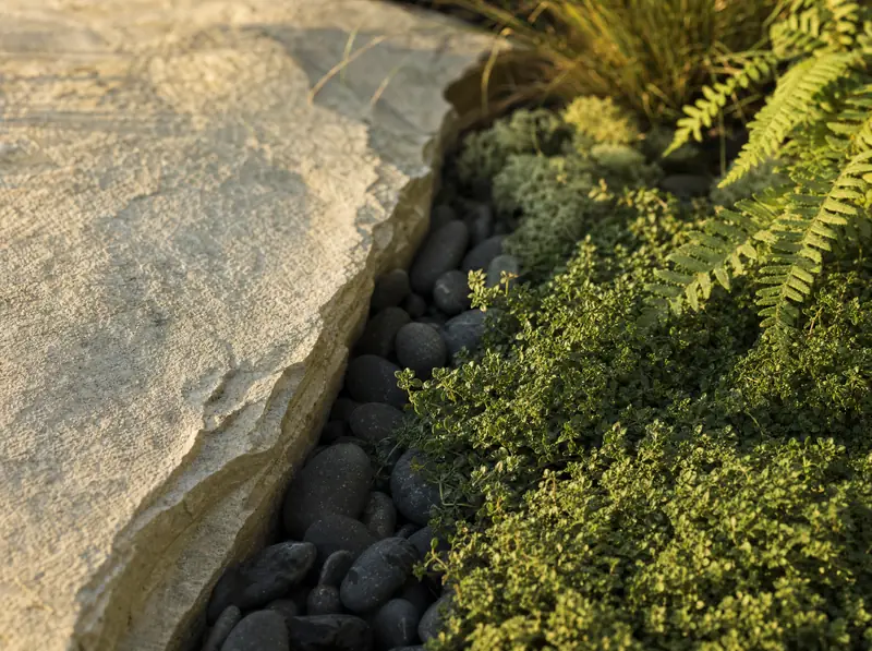 Close view of a limestone slab edged with dark river rock and low green planting